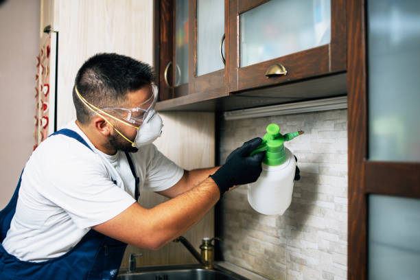 Best Emergency Pest Control  in Big Lake, MN